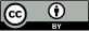 CC BY 4.0 – Attribution 4.0 International